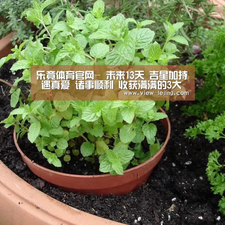 乐竟体育官网