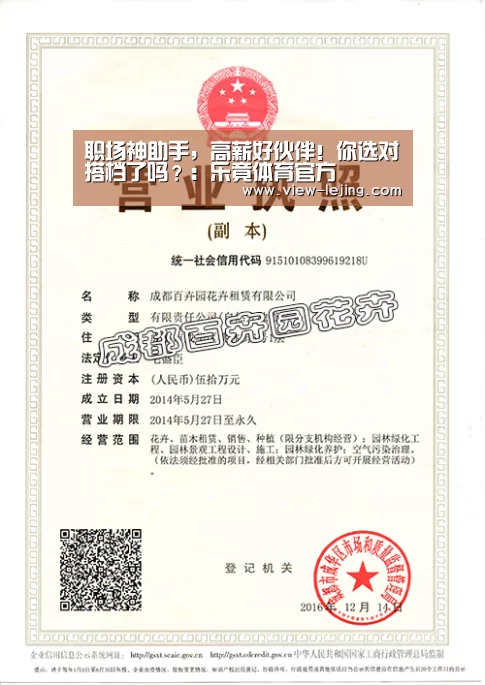 职场神助手,高薪好伙伴!你选对搭档了吗?:乐竟体育官方(图2) 乐竟体育